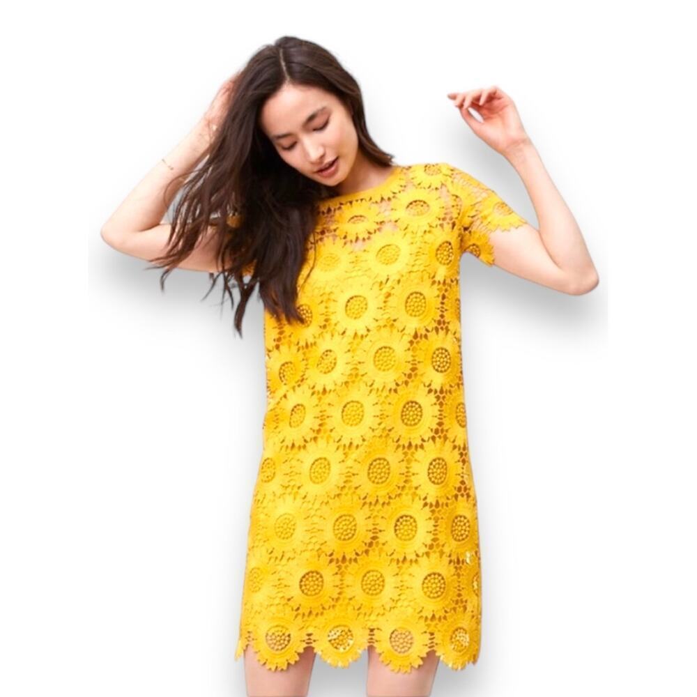 Ann Taylor Loft Sunflower Lace Dress, Size 0P